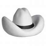 Cow Boy Hat