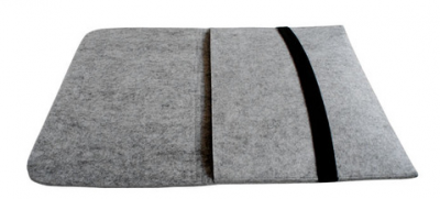 Document Bag