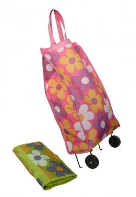 Collapsible Shopping Cart