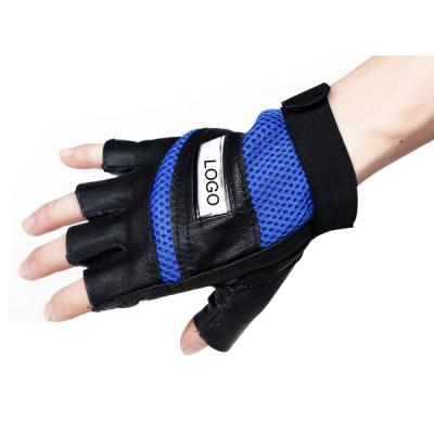 Bicycle Gloves / Sport Gloves