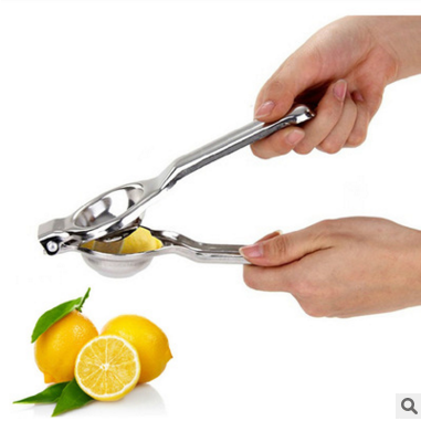stainless juice squeezer